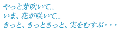 やっと芽吹いて… いま、花が咲いて… きっと、きっときっと、実を結ぶ…